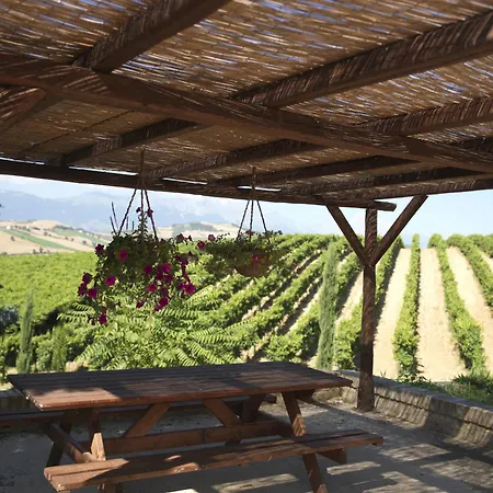 Farm stay Contado San Lorenzo And Wine *