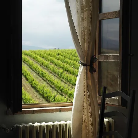 Contado San Lorenzo And Wine * Castilenti