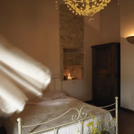 Contado San Lorenzo And Wine * Castilenti