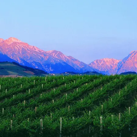 Farm stay Contado San Lorenzo And Wine *