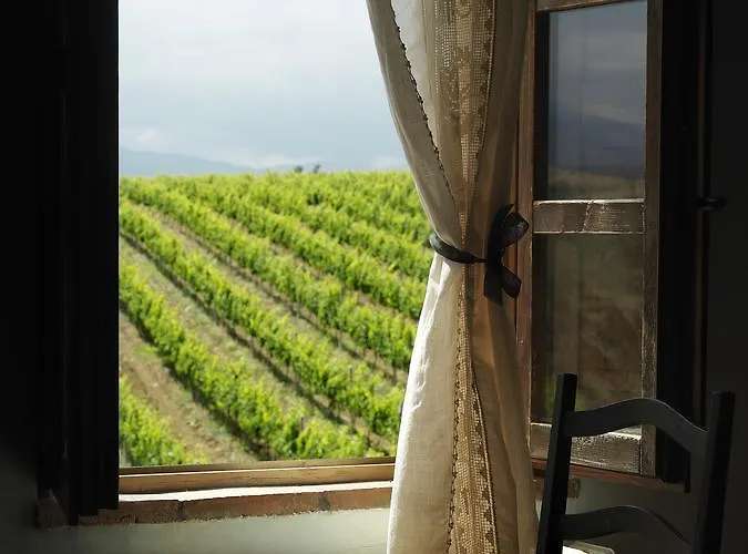 Contado San Lorenzo And Wine * Castilenti