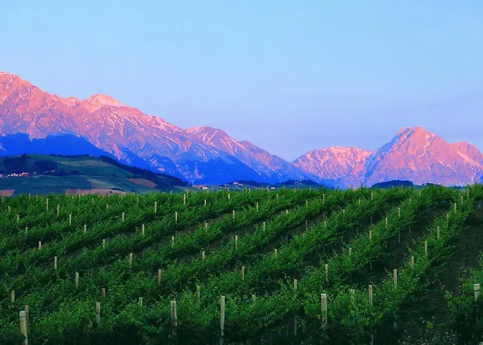 Фермерский дом Contado San Lorenzo And Wine *