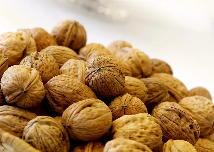 Κατάλυμα σε φάρμα Contado San Lorenzo And Wine *